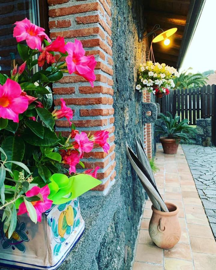 Il Tiglio Apartment Viagrande Ngoại thất bức ảnh