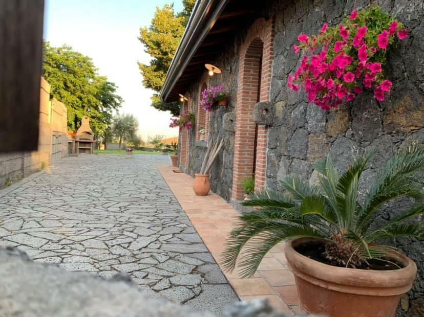 Il Tiglio Apartment Viagrande Ngoại thất bức ảnh